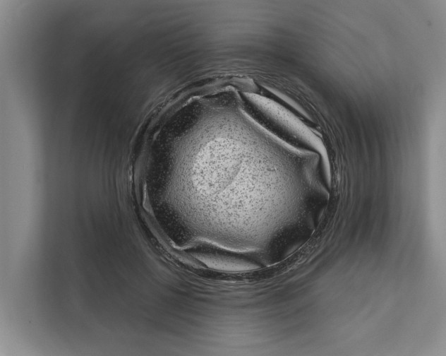 X0000111870552200908061256