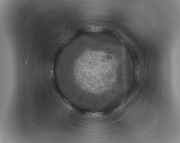 X0000111870553200908061256