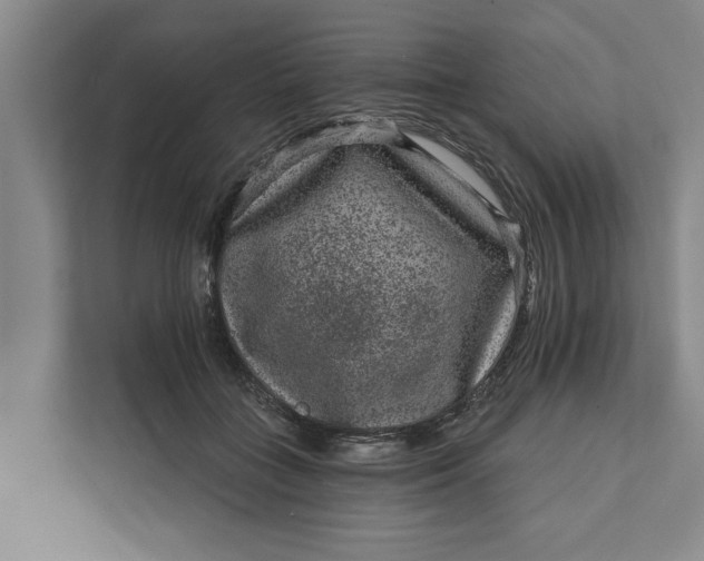 X0000111870555200908061256