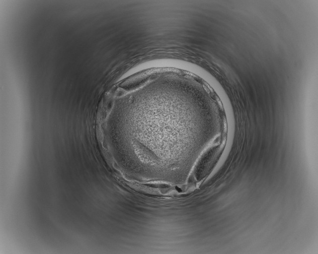 X0000111870558200908061256