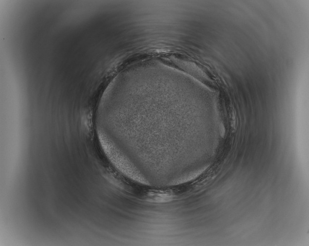 X0000111870559200908061256