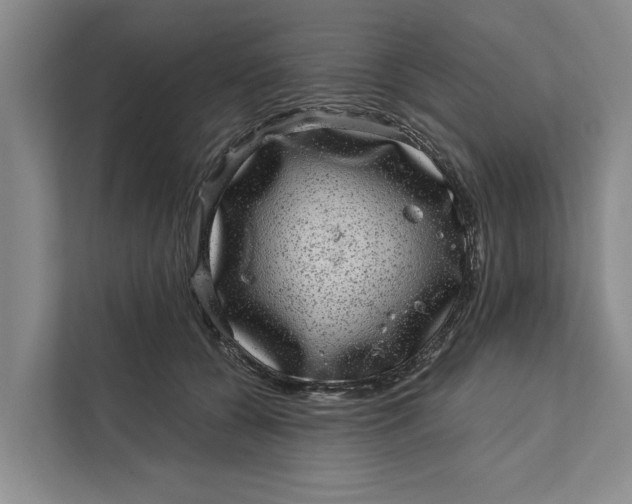 X0000111870560200908061256