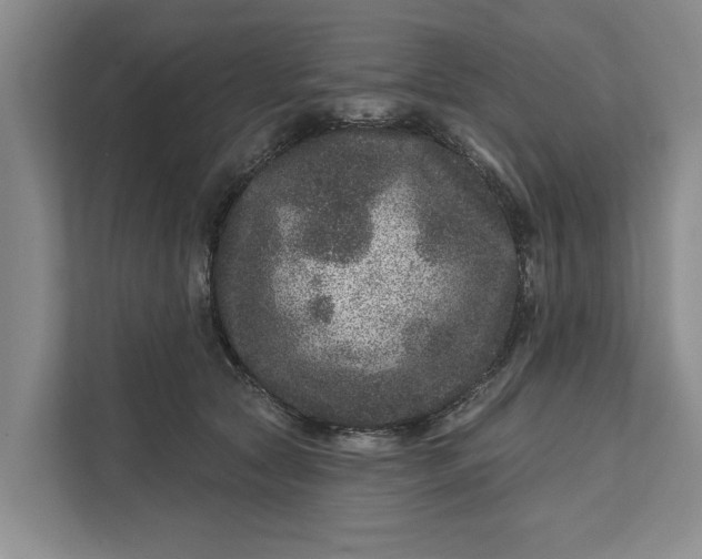 X0000111870561200908061256