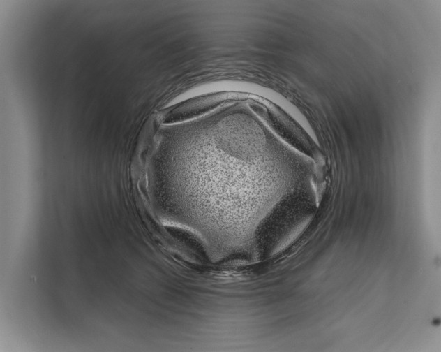 X0000111870562200908061256