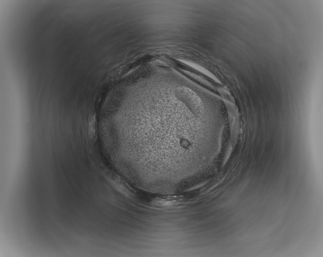 X0000111870563200908061256