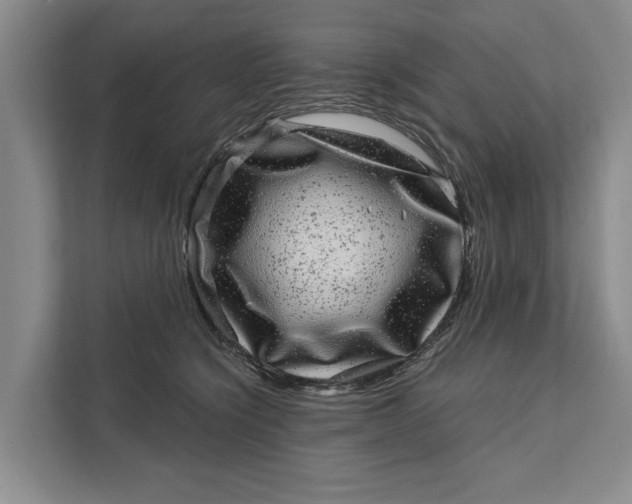 X0000111870564200908061256