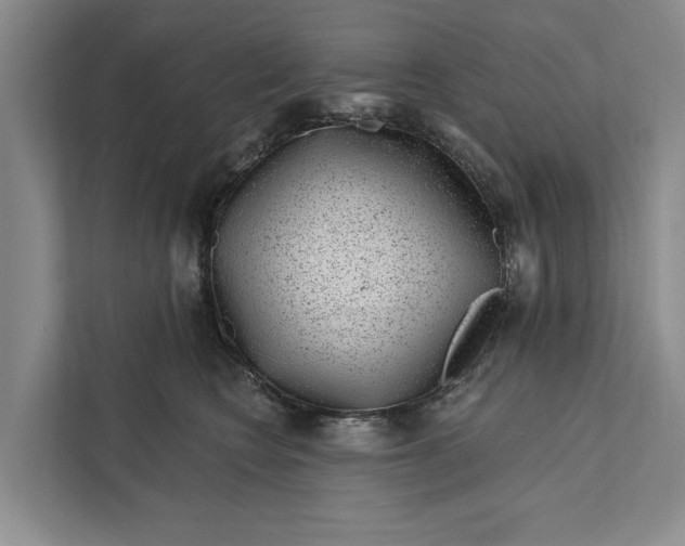 X0000111870566200908061256