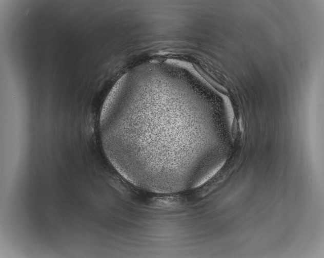 X0000111870567200908061256