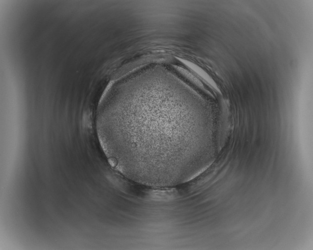 X0000111870571200908061256