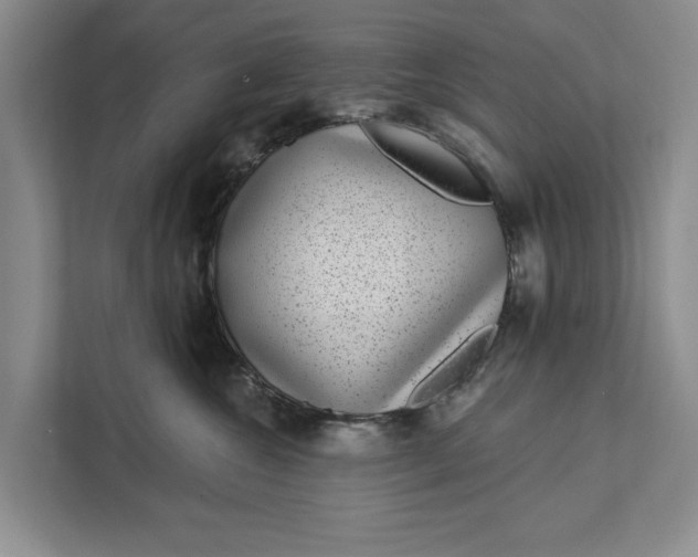 X0000111870572200908061256