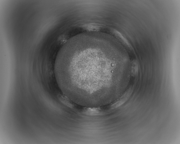 X0000111870573200908061256