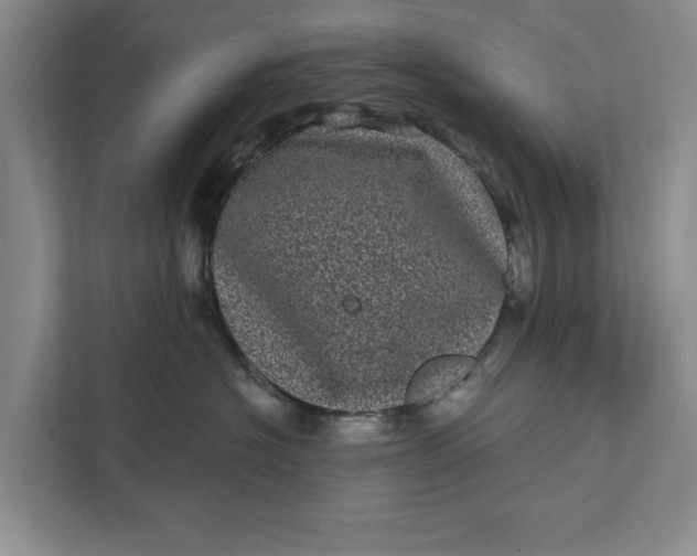 X0000111870574200908061256