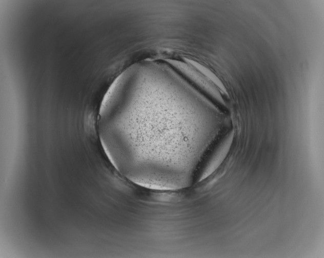 X0000111870575200908061256