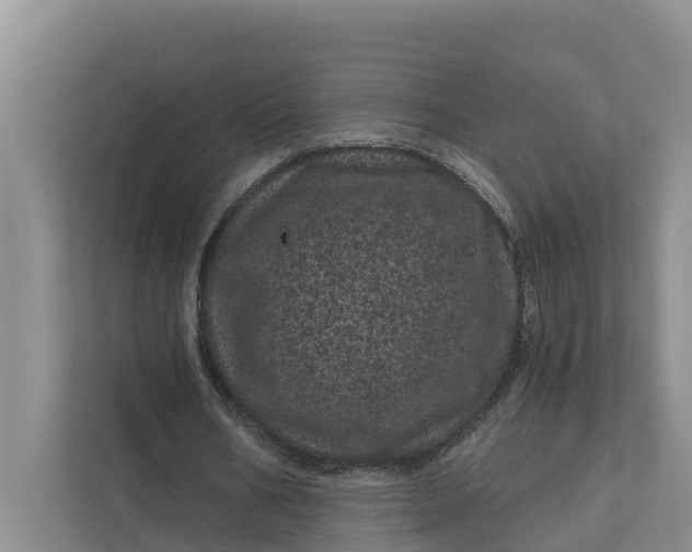 X0000111870578200908061256