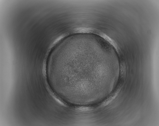 X0000111870581200908061256