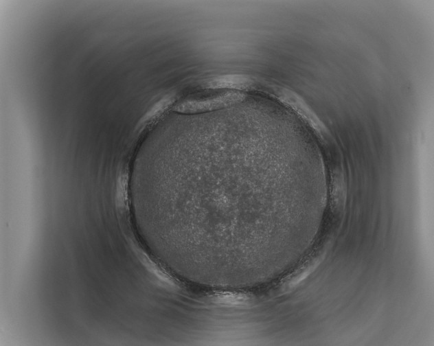 X0000111870585200908061255