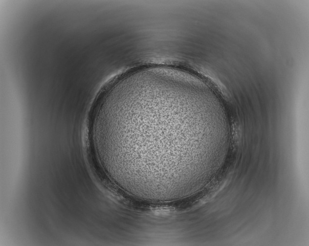 X0000111870587200908061255