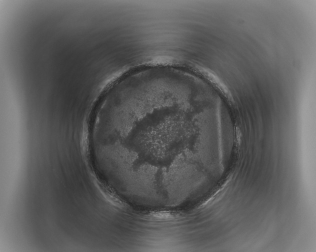 X0000111870588200908061255