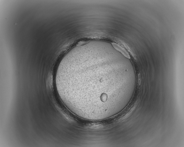 X0000111870589200908061255