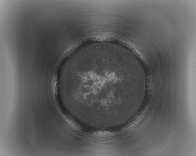 X0000111870590200908061255