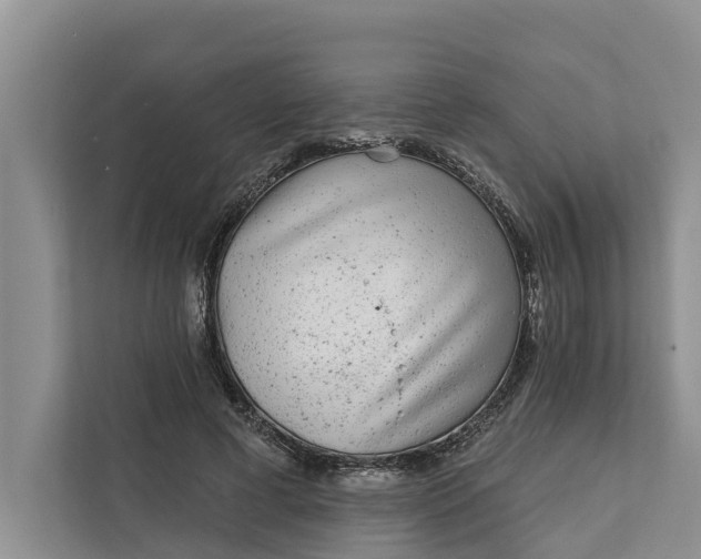 X0000111870593200908061255