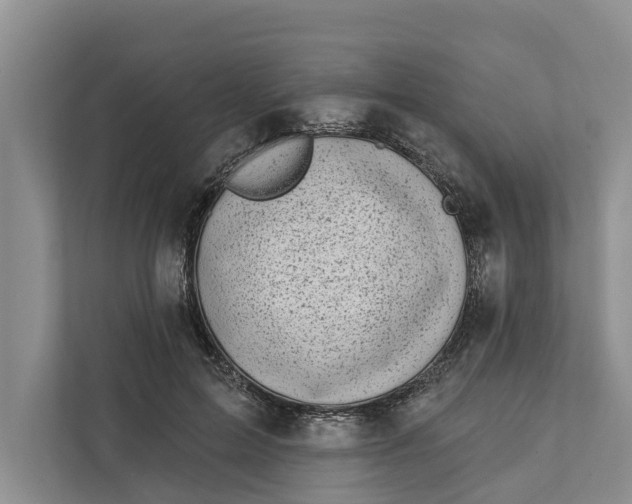 X0000111870599200908061255