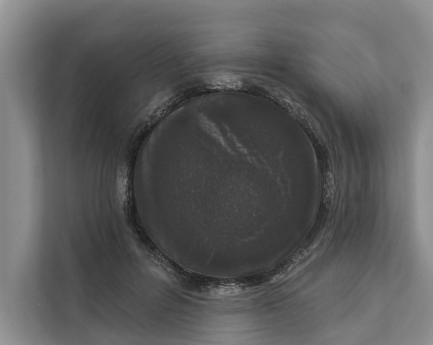 X0000111870600200908061255