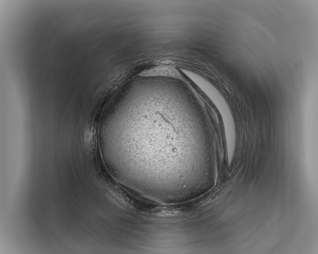 X0000111870601200908061255