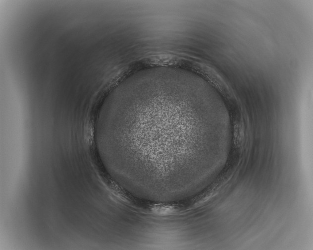 X0000111870602200908061255