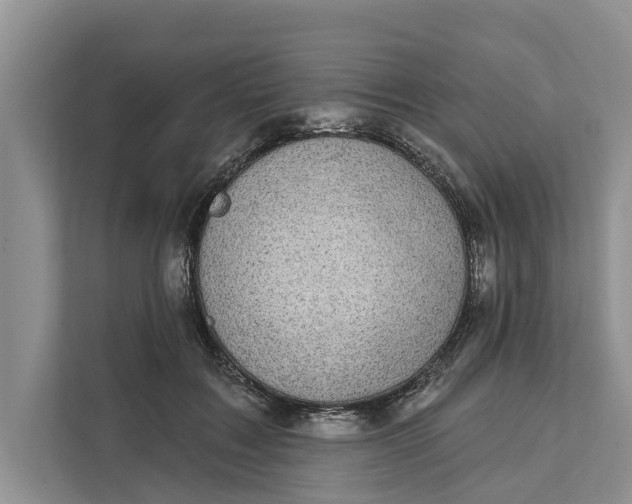 X0000111870603200908061255