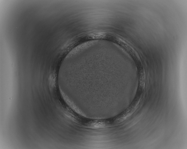 X0000111870604200908061255