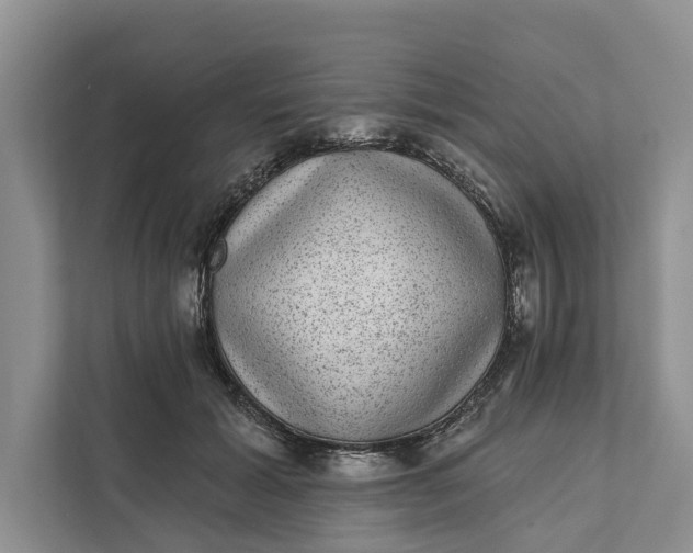 X0000111870605200908061255