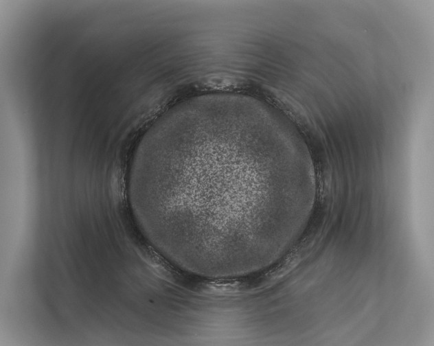 X0000111870606200908061255