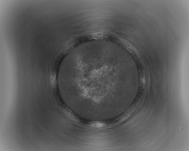 X0000111870610200908061255