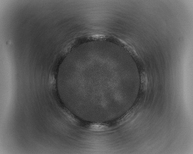 X0000111870614200908061255