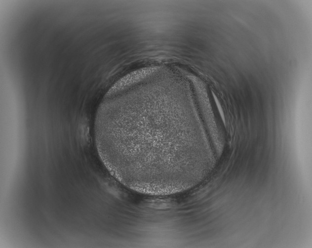 X0000111870615200908061255