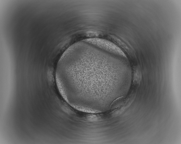 X0000111870616200908061255