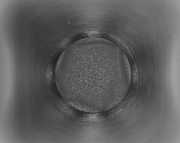 X0000111870618200908061255