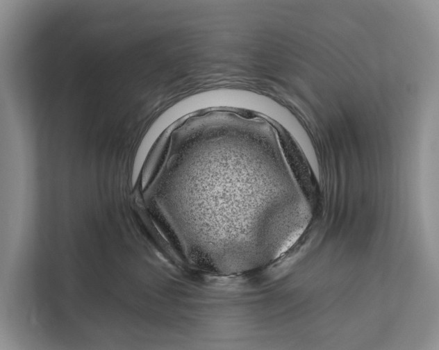 X0000111870621200908061255