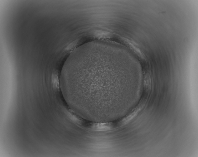 X0000111870622200908061255