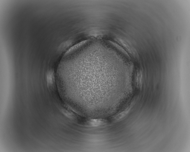 X0000111870623200908061255