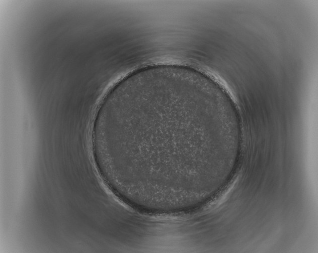 X0000111870625200908061254