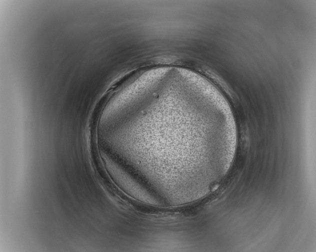 X0000111870626200908061254