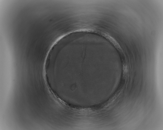 X0000111870628200908061254