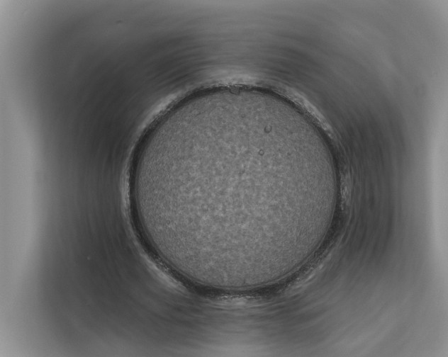 X0000111870629200908061254