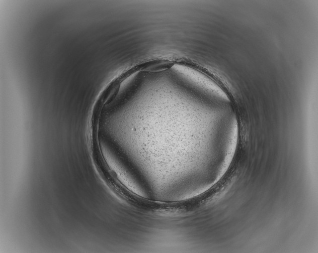 X0000111870630200908061254