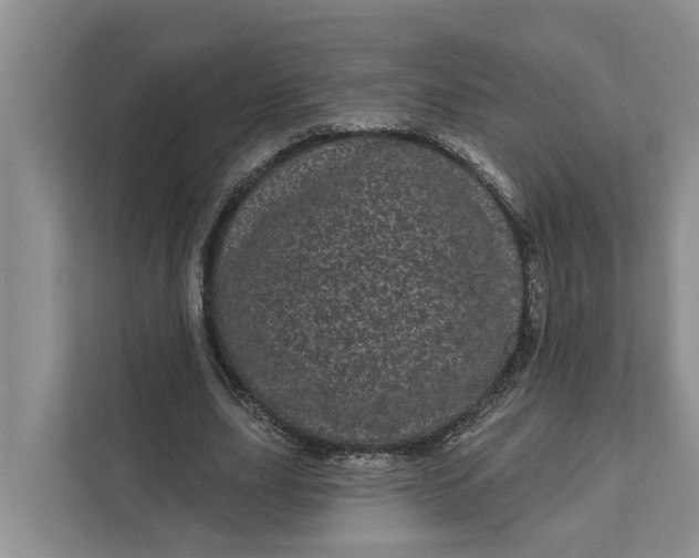 X0000111870631200908061254