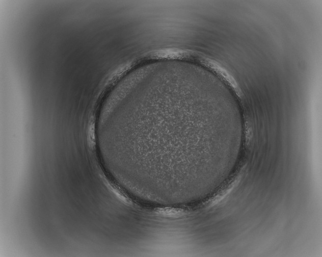 X0000111870633200908061254