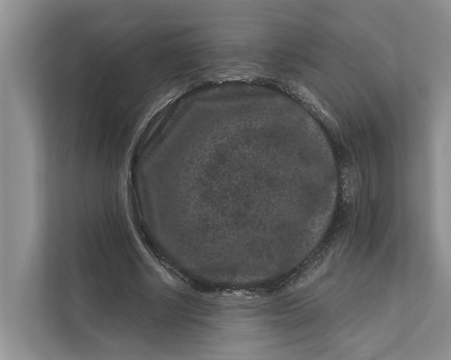 X0000111870634200908061254