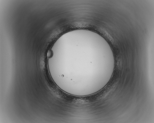 X0000111870635200908061254